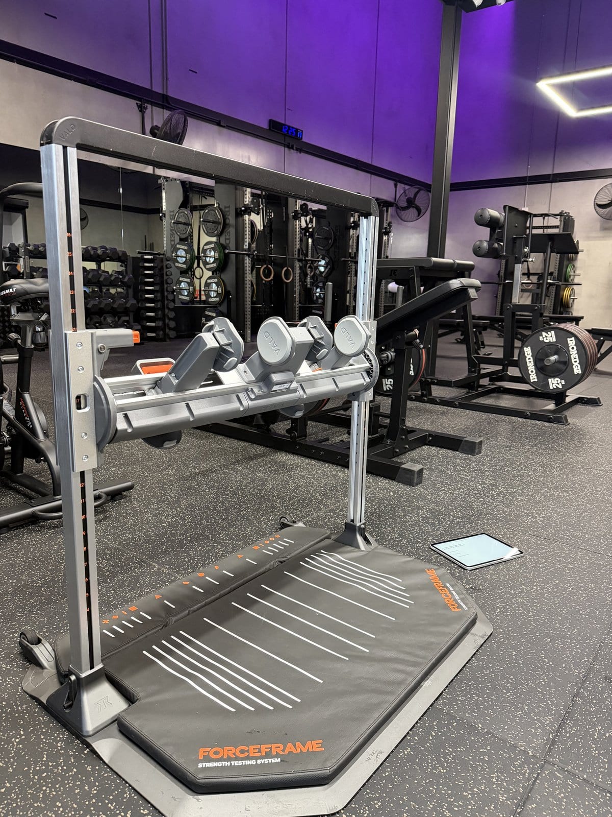 The VALD ForceFrame strength testing frame in the Injury Active Clinic gym